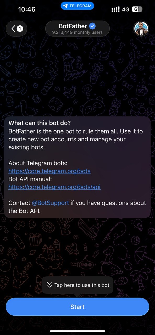 Starting a chat with BotFather